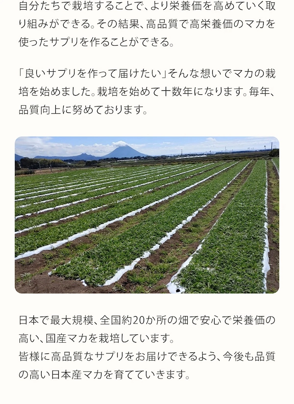 自分たちで栽培することで、より栄養価を高めていく取り組みができる。その結果、高品質で高栄養価のマカを使ったサプリを作ることができる。「良いサプリを作って届けたい」そんな想いでマカの栽培を始めました。栽培を始めて十数年になります。毎年、品質向上に努めております。日本で最大規模、全国約20か所の畑で安心で栄養価の高い、国産マカを栽培しています。皆様に高品質なサプリをお届けできるよう、今後も品質の高い日本産マカを育てていきます。