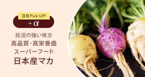 妊活の強い味方、高品質・高栄養価スーパーフード「日本産マカ」
