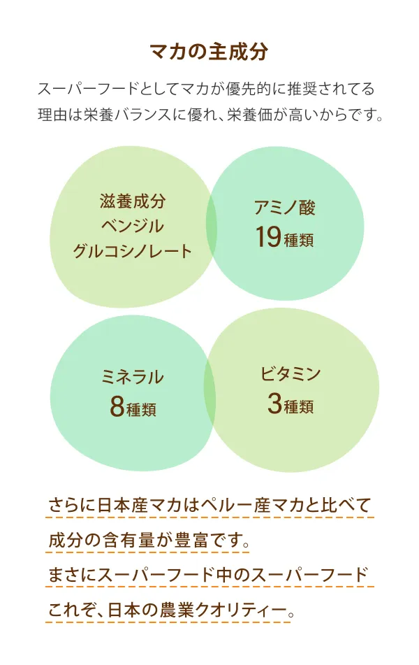 「マカの主成分」スーパーフードとしてマカが優先的に推奨されてる理由は栄養バランスに優れ、栄養価が高いからです。滋養成分ベンジルグルコシノレート、アミノ酸 19種類、ミネラル 8種類、ビタミン 3種類。さらに日本産マカはペルー産マカと比べて成分の含有量が豊富です。まさにスーパーフード中のスーパーフード。これぞ、日本の農業クオリティー。