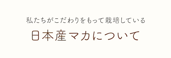 私たちがこだわりをもって栽培している日本産マカについて