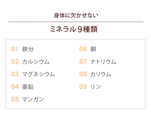 身体に欠かせない「ミネラル 9種類」01 鉄分、02 カルシウム、03 マグネシウム、04 亜鉛、05 マンガン、06 銅、07 ナトリウム、08 カリウム、09 リン