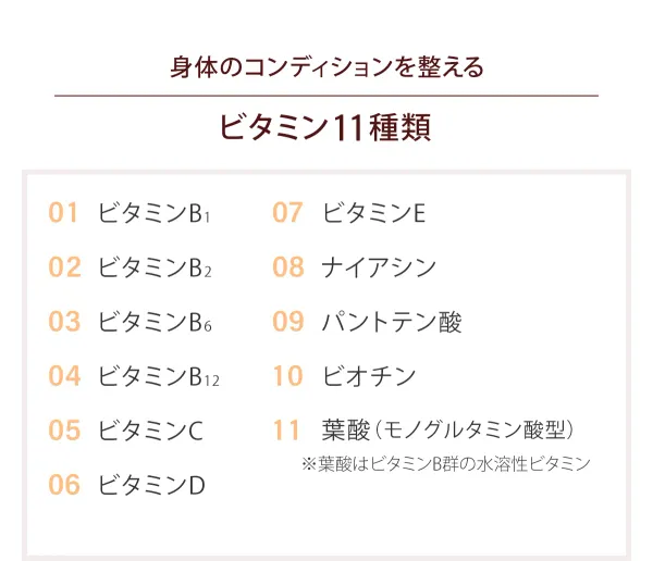 身体のコンディションを整える「ビタミン 11種類」01 ビタミンB1、02 ビタミンB2、03 ビタミンB6、04 ビタミンB12、05 ビタミンC、06 ビタミンD、07 ビタミンE、08 ナイアシン、09 パントテン酸、10 ビオチン、11 葉酸（モノグルタミン酸型）※葉酸はビタミンB群の水溶性ビタミン