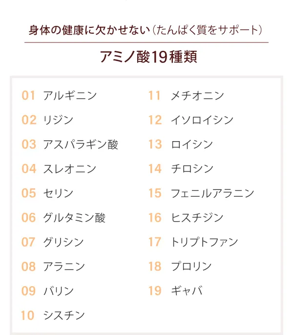 身体の健康に欠かせない（たんぱく質をサポート）「アミノ酸 19種類」01 アルギニン、02 リジン、03 アスパラギン酸、04 スレオニン、05 セリン、06 グルタミン酸、07 グリシン、08 アラニン、09 バリン、10 シスチン、11 メチオニン、12 イソロイシン、13 ロイシン、14 チロシン、15 フェニルアラニン、16 ヒスチジン、17 トリプトファン、18 プロリン、19 ギャバ