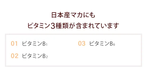 日本産マカにもビタミン3種類が含まれています。01 ビタミンB1、02 ビタミンB2、03 ビタミンB6