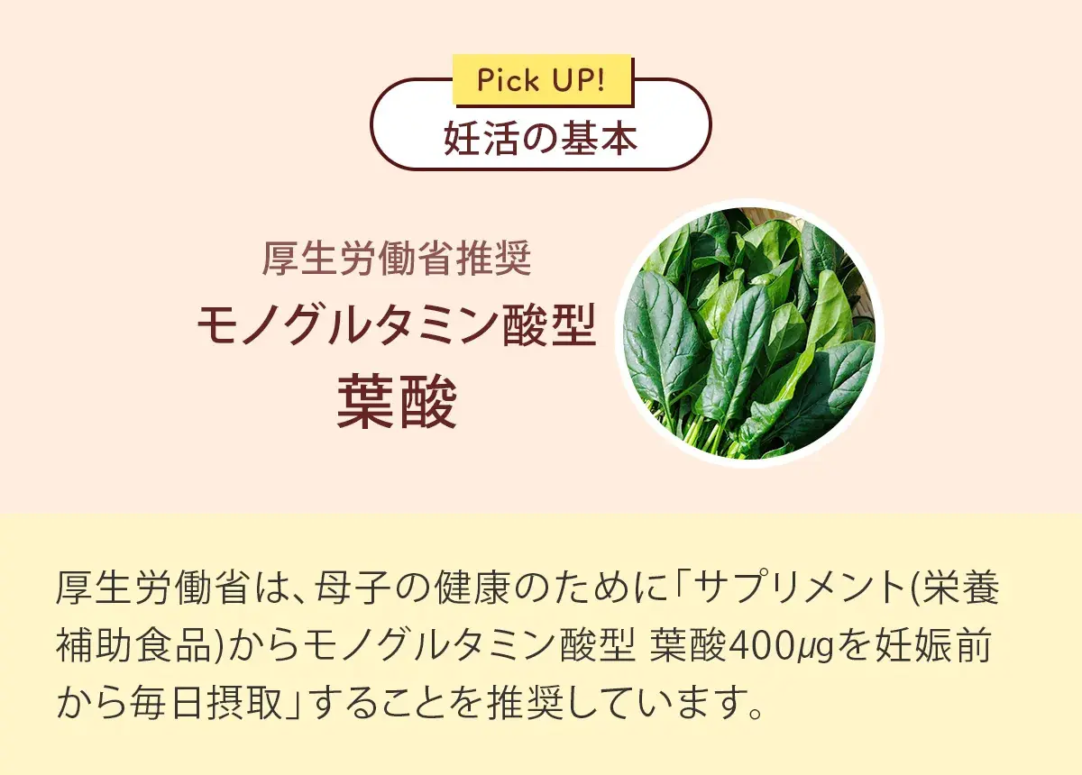 ピックアップ